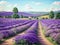 VIBRANT COUNTRYSIDE: Lavender blooming flowers bright purple field