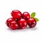 Vibrant Cranberries: Freshly Isolated For Stunning Product Photography