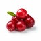 Vibrant Cranberries With Green Leaf On White Background