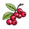 Vibrant Cranberry Branch Cartoon Vector Illustration