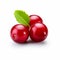 Vibrant Cranberry: Drugcore Style Product Photography On White Background