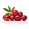 Vibrant Cranberry Image On White Background
