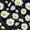 Vibrant Daisy Garden Floral Art Magic