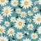 Vibrant Daisy Garden Seamless Beauty