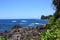 Vibrant, deep blue Pacific Ocean of Onomea Bay contrasting with black volcanic shoreline and green rainforest plants