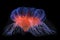 vibrant deep-sea siphonophore illuminating the abyss