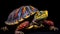 Vibrant Diamondback Terrapin: A Colorful Turtle On A Black Background