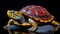 Vibrant Diamondback Terrapin: Darktable Processing And Precision Painting