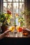 A vibrant display of glistening glassware filled with colourful fruit and a flourishing houseplant bathes the indoor table