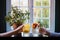 A vibrant display of glistening glassware filled with colourful fruit and a flourishing houseplant bathes the indoor table