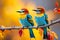 vibrant and diverse birds perched on a branch, creating a lively and harmonious display of nature\\\'s palette.