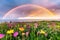 A vibrant double rainbow arcs over a blooming wildflower meadow by the sea under a dramatic sky