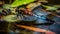 Vibrant dragonfly rests on wet leaf in tropical rainforest generated by AI