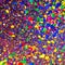 A vibrant explosion of confetti and balloons, evoking a sense of joy, excitement, and celebration1, Generative AI