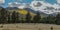 Vibrant Fall Color at Lockett Meadow Near Flagstaff Arizona