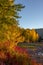 Vibrant fall colors along the river bank