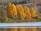 Vibrant fall trees overlooking lake