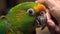 Vibrant feathered macaw perching on branch in tropical rainforest generated by AI