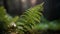 The vibrant fern frond drops dew in the tranquil forest generated by AI