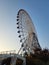 Vibrant ferris wheel against a backdrop of lush trees and verdant grass