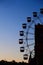 Vibrant ferris wheel at an amusement park at sunset, creating a picturesque scene