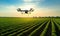 A Vibrant Field of Crops With a Majestic Flying Drone Hovering Above