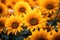 A vibrant field filled with a large group of yellow sunflowers, An intimate close up view of a vibrant sunflower field, AI