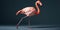 A vibrant flamingo striking aballet pose, highlighting its elegance in a playful, artistic context, concept of Graceful