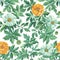 Vibrant Floral Pattern with Yellow and White Blooms