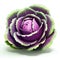Vibrant Folk Art Image Of A Pixelated Purple Cabbage On White Background