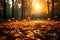 Vibrant forest autumn leaves dance in sunlight, creating a serene atmosphere