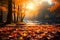 Vibrant forest autumn leaves dance in sunlight, creating a serene atmosphere