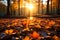 Vibrant forest autumn leaves dance in sunlight, creating a serene atmosphere