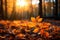 Vibrant forest autumn leaves dance in sunlight, creating a serene atmosphere