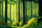 A vibrant forest of tall trees, with a canopy of vibrant greens and yellows, as imagined by Bill Watterson generated using Ai