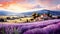 Vibrant French Landscape: Lavender Fields In Provence Morning