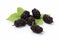 Vibrant Fresh black mulberries. Generate Ai