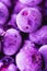 Vibrant Frozen Blueberries in Trendy Ultra Violet Color with Beautiful Frost Pattern and Texture. Summer Food Background