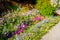 Vibrant garden in bloom Oslo Norway September