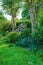 Vibrant garden with trees, flowers and lawn with green grass growing in a peaceful backyard. Beautiful flowering plants