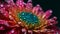 Vibrant gerbera daisy in wet summer garden generated by AI