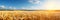 Vibrant golden wheat field on a sunny summer day, serving as a picturesque farm background