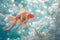 Vibrant goldfish gliding through bubbles in crystal clear water. underwater beauty captured in bright detail. perfect