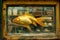 Vibrant Goldfish Swimming Inside an Antique Shop Aquarium with Vintage Background