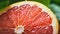Vibrant Grapefruit: Organic Shapes And Vibrant Colors In Nature