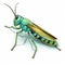 Vibrant Grasshopper Illustration: Detailed Comic Book Art