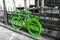 Vibrant green bicycle on the gray background