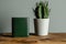 A vibrant green cactus plant and a sleek leather wallet resting on a wooden table. The contrast of nature and finance