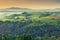 Vibrant green countryside farms at sunrise