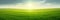 Vibrant green field of growing grass in warm sunlight, wide landscape minimalist panorama. Generative AI illustration